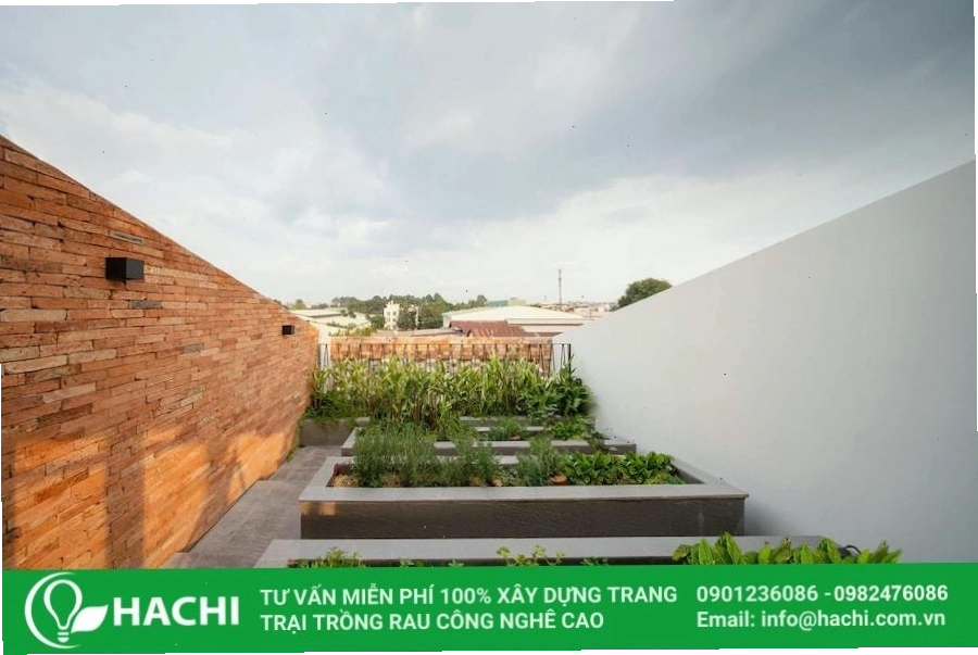 Thiết kế vườn rau trên sân thượng đơn giản với nhiều loại rau xanh khác nhau