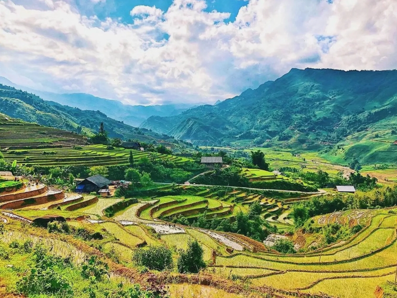 Thung lũng Mường Hoa ngát hương tại Sapa