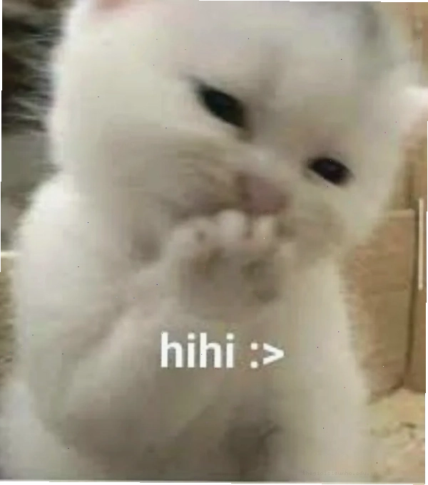 Tổng hợp hihi meme