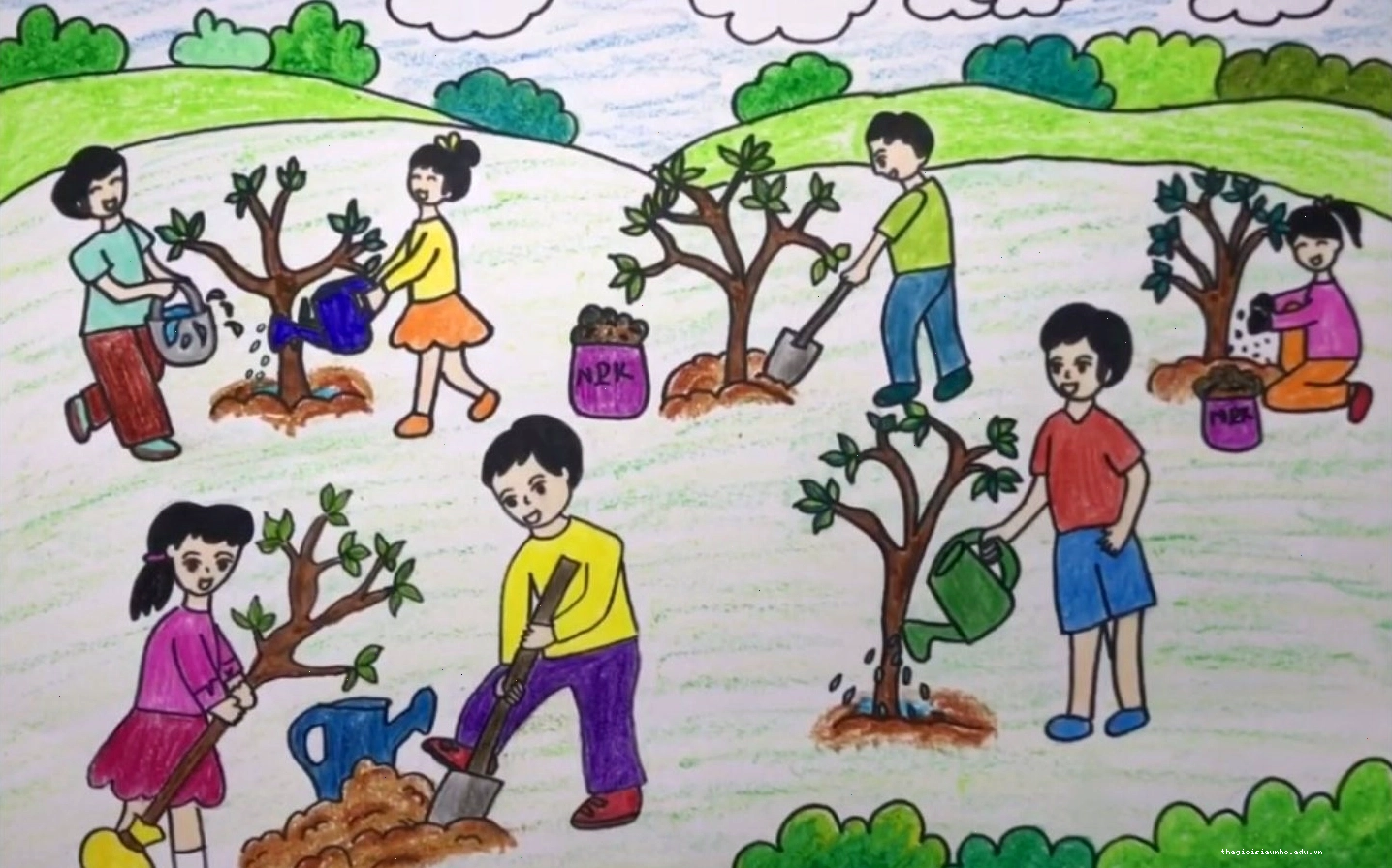 Trồng cây phủ xanh đồi trọc