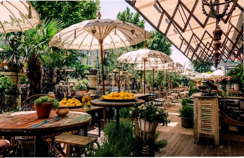 Ý tưởng thiết kế quán cafe sân vườn với khu vực ngồi ngoài trời và cây xanh bao phủ