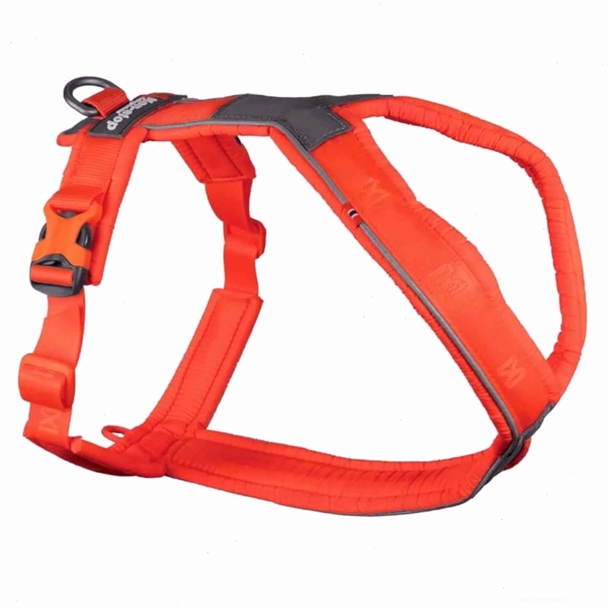 Non-stop Dogwear Line Harness for active dogs
