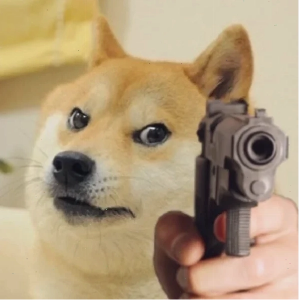 ảnh meme chó ngộ nghĩnh