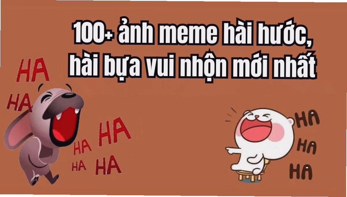 ảnh meme hài bựa độc đáo
