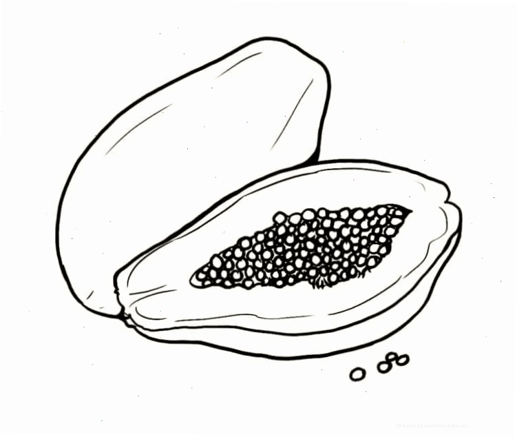 Bộ sưu tập bút màu sáp, chì, dạ
