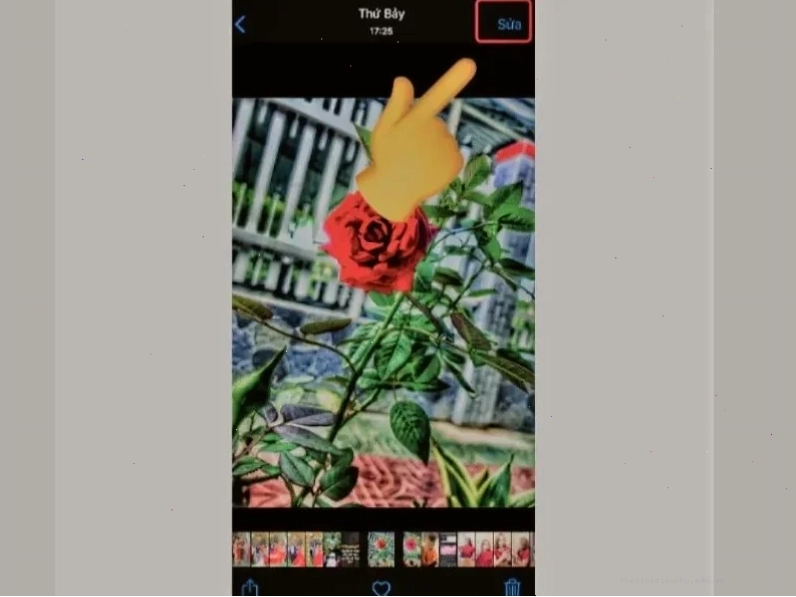 Giao diện ứng dụng Picsart Color với các công cụ tô màu trên iPhone