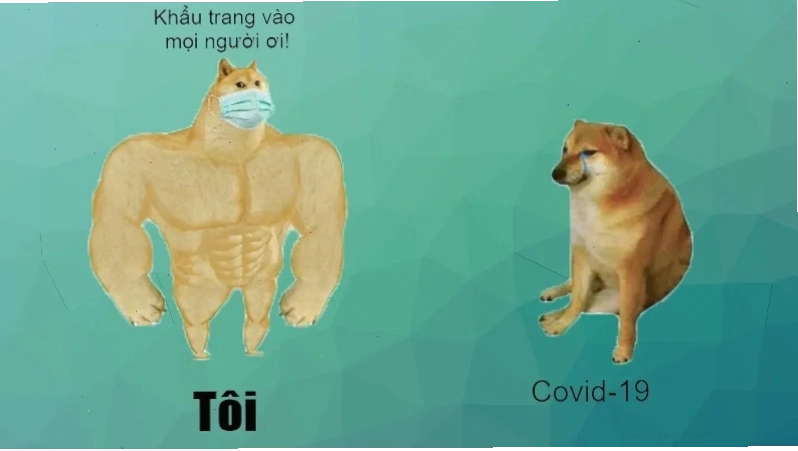hinh anh meme vui nhon