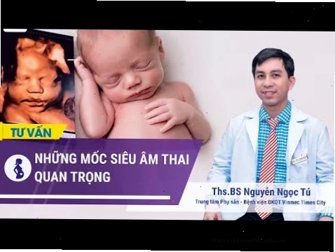 Hướng dẫn tra cứu thông tin phong thủy và lịch âm trên các nền tảng trực tuyến
