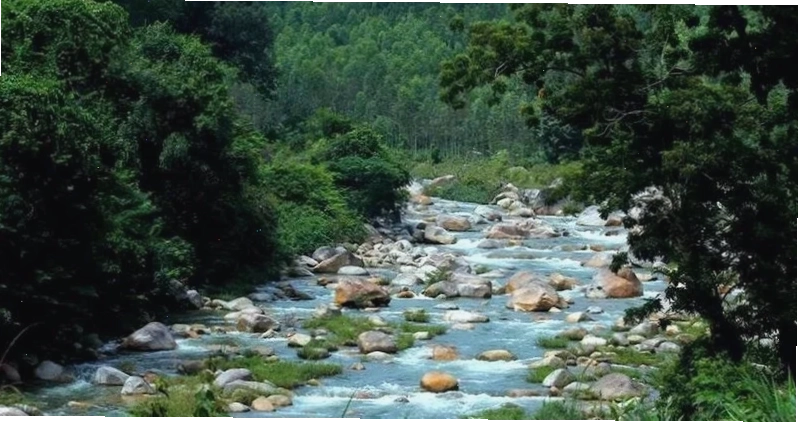 khu-bao-ton-thien-nhien-hon-ba-nha-trang_serper