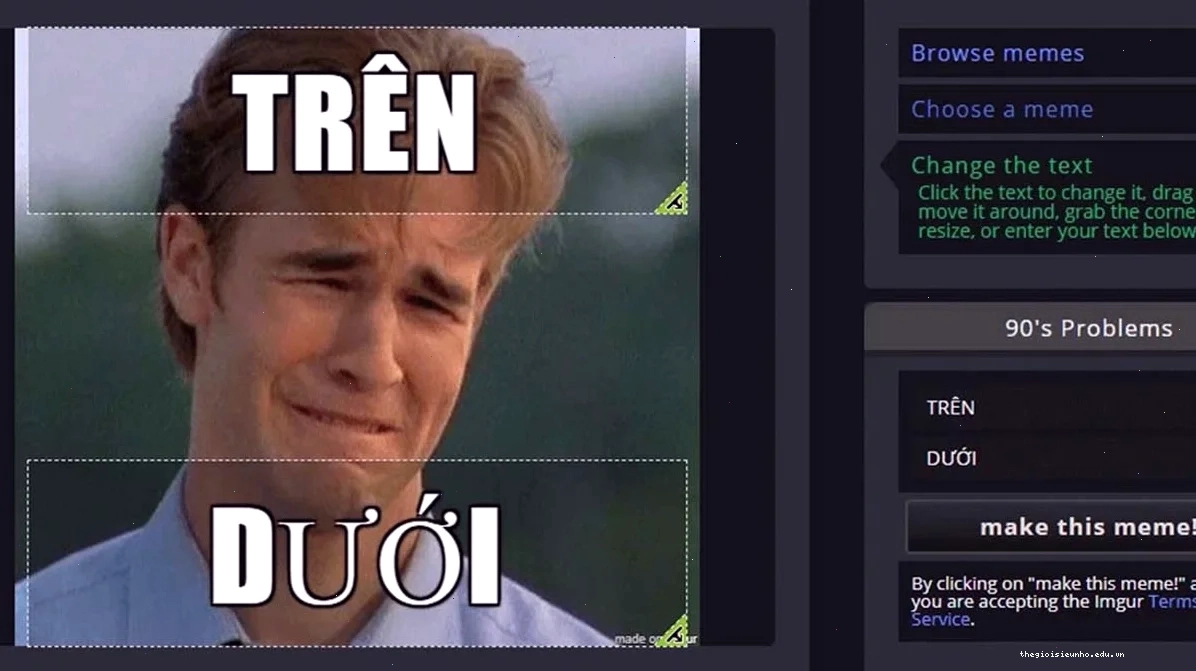 mau meme co chu