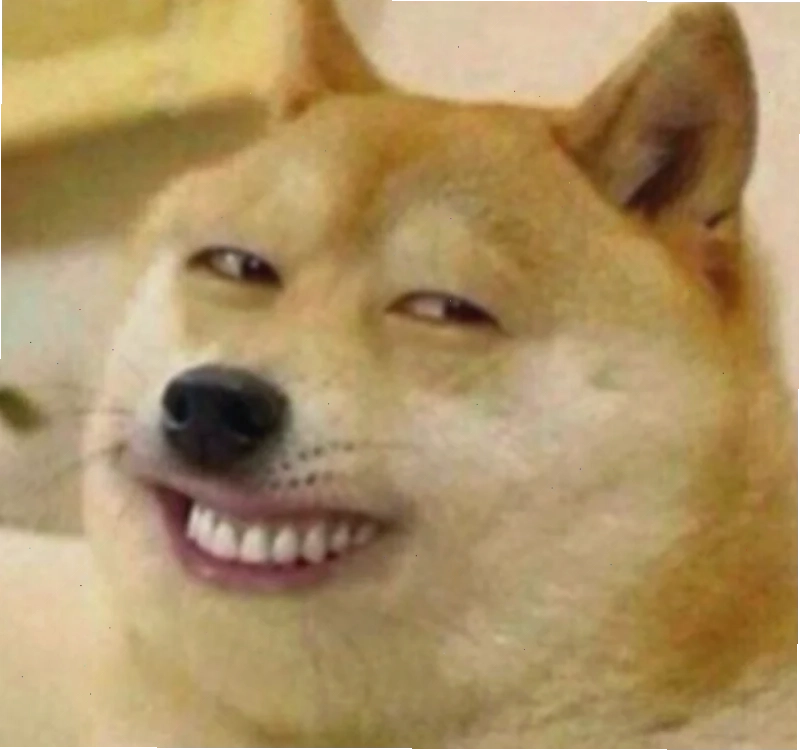 meme chó cute