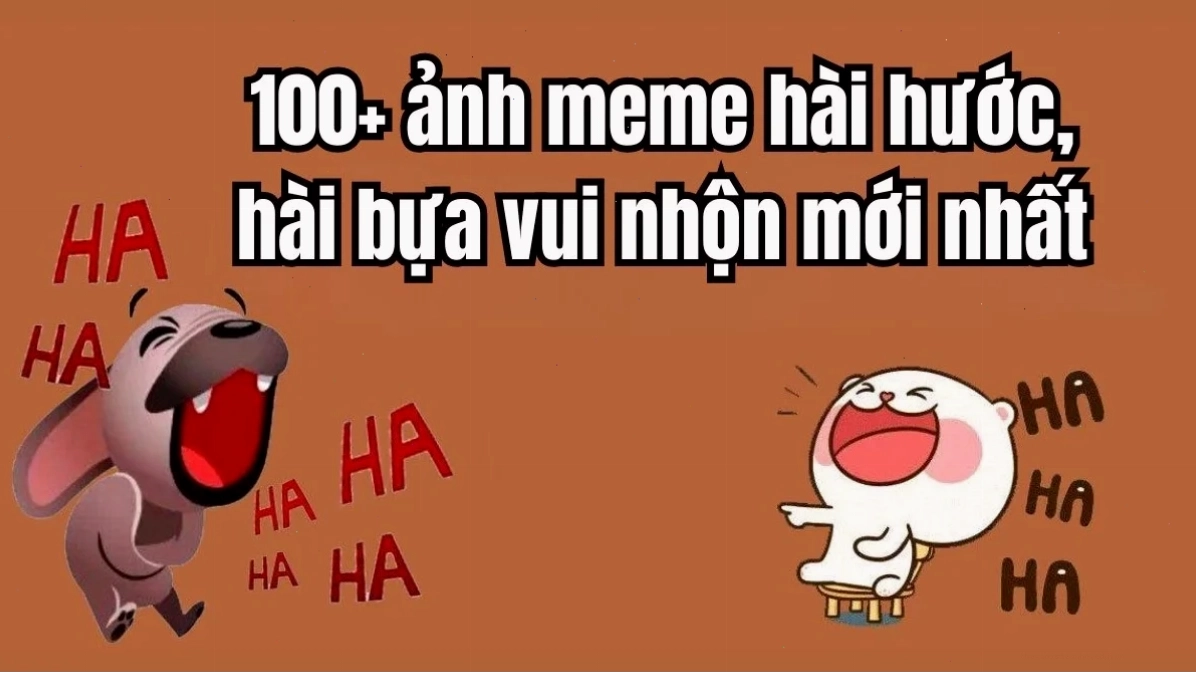 meme giải trí đỉnh cao