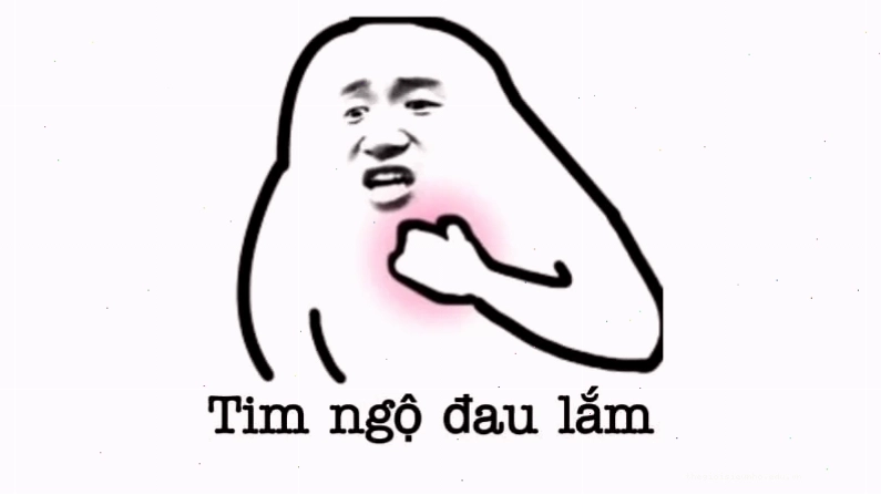 meme hài hước về động vật