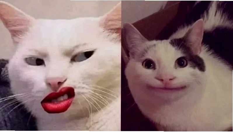 meme hài về các sự kiện nóng