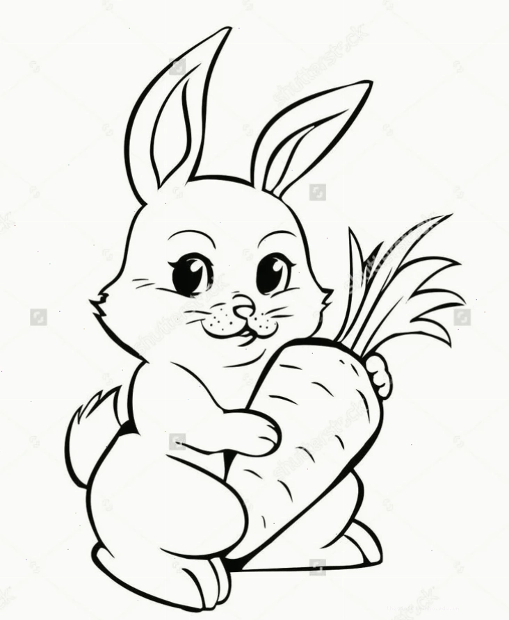 Nhiều mẫu thỏ khác nhau chờ được tô màu