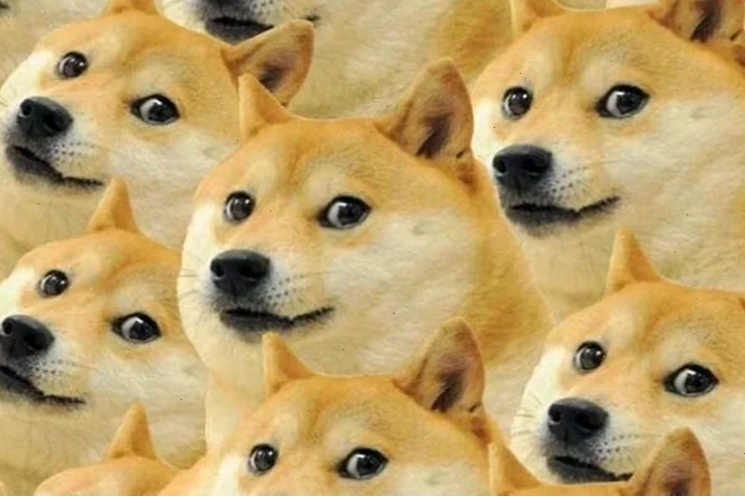 sáng tạo meme chó