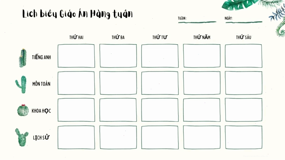 Thời khóa biểu tô màu phong cách Bảng phấn