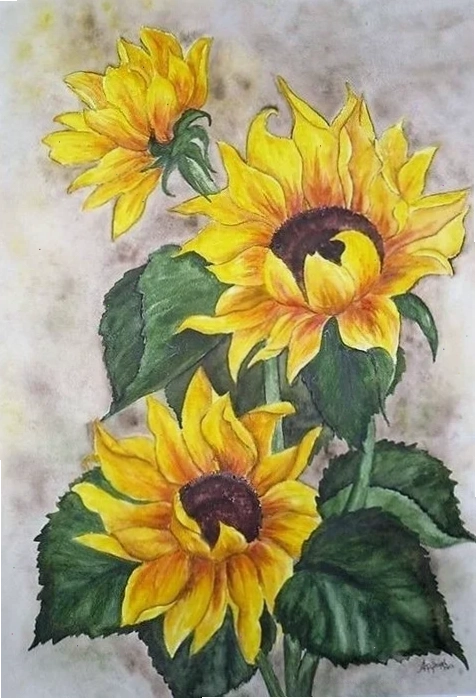 tranh-hoa-huong-duong_serper