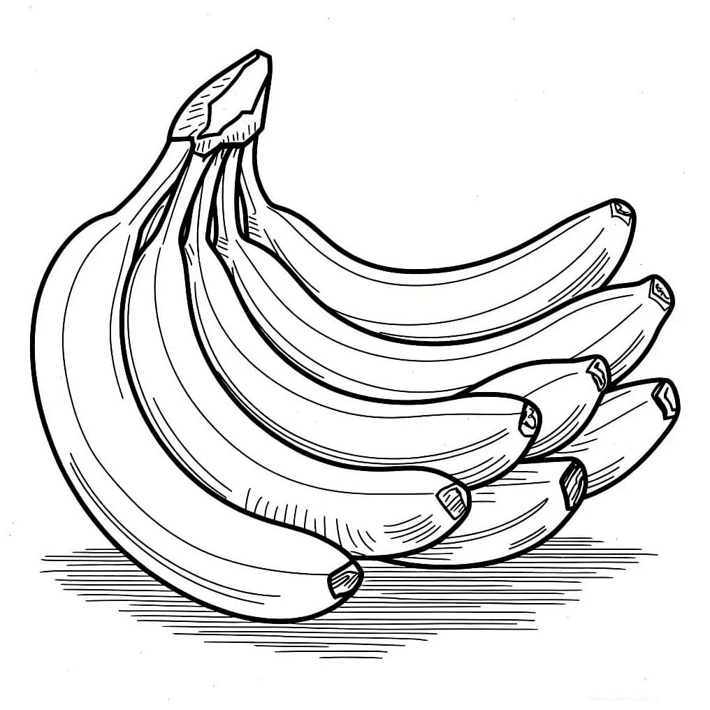 Tranh tô màu buồng chuối