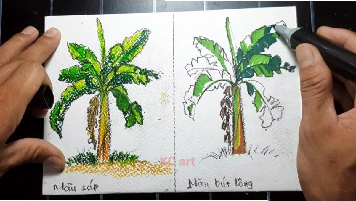 Tranh tô màu cây chuối với phong cách vẽ dễ thương và ngộ nghĩnh