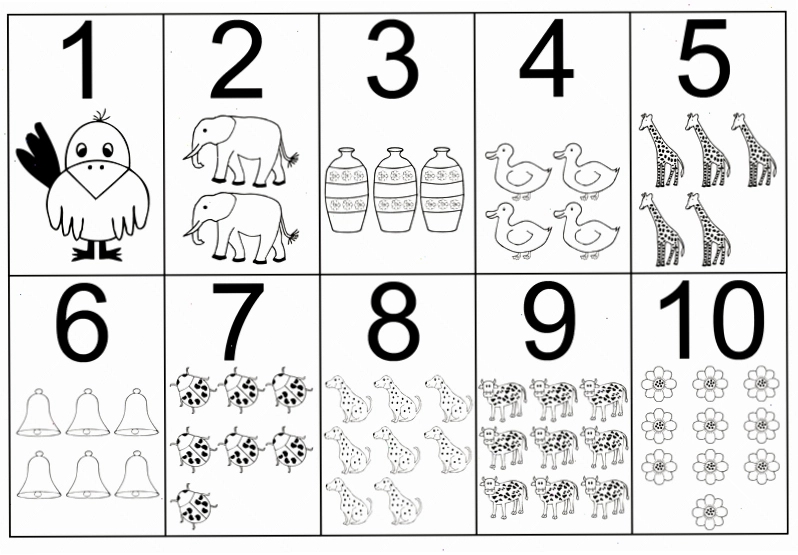 Tranh tô màu số 3 với hình ảnh sinh vật biển
