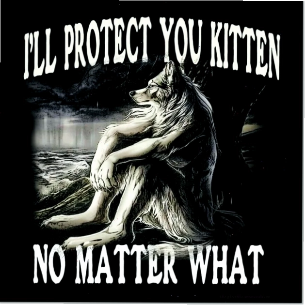 wolf-meme_alpha