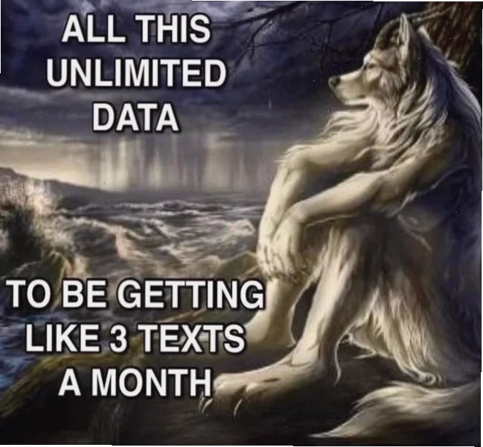 wolf-meme_serper