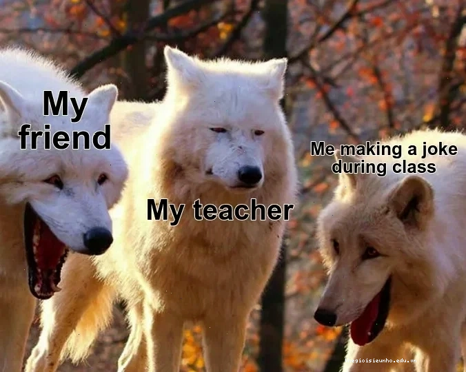 wolf-meme_serper