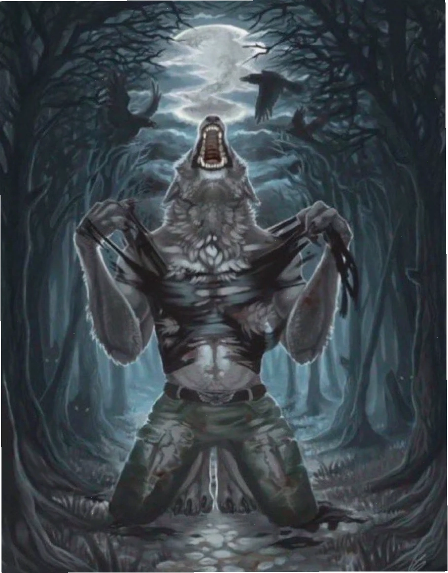 wolf-meme_serper