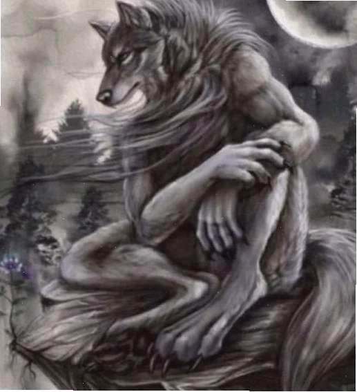 wolf-memes_serper