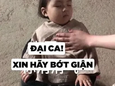 Ảnh Em Bé Meme Hài Hước và Cực Cute Cho Mọi Cuộc Trò Chuyện