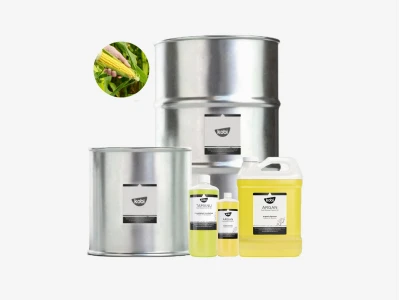 Dầu Ngô: Từ Mầm Lúa Đến Chiết Xuất và Công Dụng