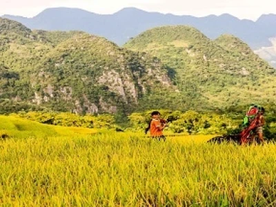 Khám phá Khu bảo tồn thiên nhiên Pù Luông: Điểm đến lý tưởng cho năm 2026