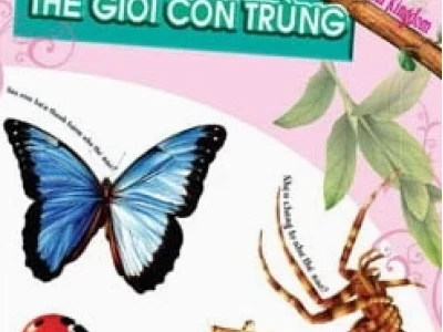 Khám phá Thế giới Côn trùng: Những Sự Thật Thú Vị và Bất Ngờ