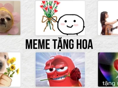 Khám phá thế giới meme tặng hoa: Hài hước, cute và bá đạo