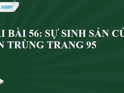 Khám phá thế giới sự sinh sản của côn trùng và chu kỳ phát triển