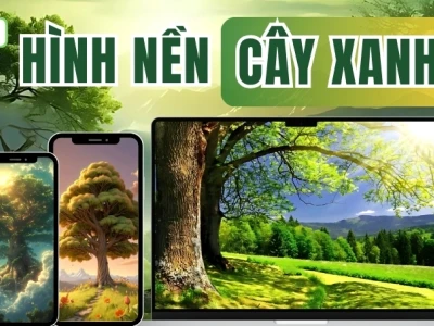Khám phá vẻ đẹp thiên nhiên qua ảnh cây cối và thế giới xanh mát