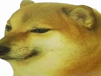 Meme Chém Đầu: Nguồn Gốc, Biến Tấu và Ý Nghĩa Gây Tranh Cãi