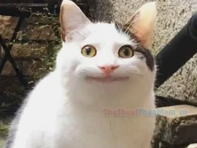 Meme 'Hả gì ai biết đâu': Khám phá nguồn gốc và những biểu cảm hài hước
