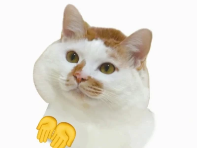 Phú Bà Meme: Biểu tượng văn hóa mạng và sức hút khó cưỡng