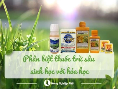 Thuốc trừ sâu sinh học có độc không? Đánh giá chi tiết 2026