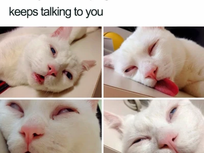 Tổng hợp Meme 'Sleep' Hài Hước Nhất 2026: Khi Cơn Buồn Ngủ Lấn Át