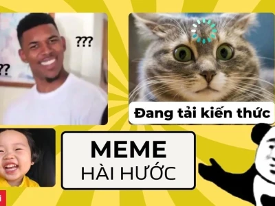 Top Avatar Meme Mèo Bựa Hài Hước Nhất 2026: Biểu Cảm Khó Đỡ Đốn Tim Dân Mạng