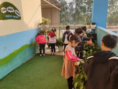 Trang trí góc thiên nhiên sáng tạo cho không gian mầm non