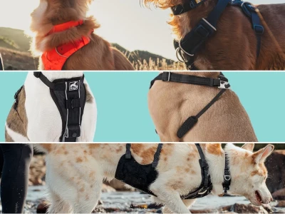 Effective strategies for choosing the right dog harness for leash pulling in 2026